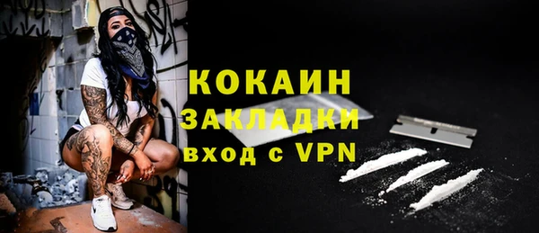 шишки Кодинск