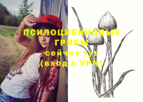амф Карпинск
