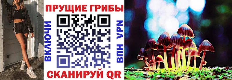 Галлюциногенные грибы мухоморы  Купить закладки  Дмитриев 