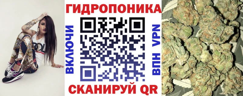 Купить  Дмитриев  Бошки Шишки тримм 